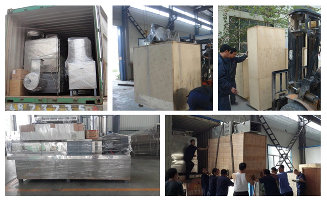 Chinese Manufacturer Italian Pasta Extruder Production Line Macaroni Maker 120kg/H Spaghetti Processing Machine